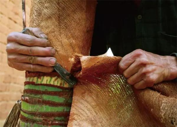 ʧ�����õ�ɽ�أ�����ǧ�������ļ���